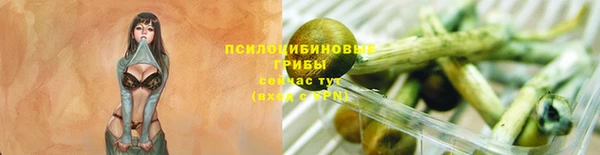 кокс Абаза