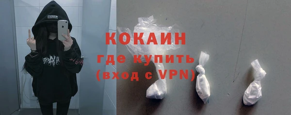 дмт Ладушкин